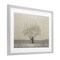 Stupell Industries Neutral Radiance Tree Framed Print Under Glass, design by Michael Marcon
